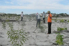 Ứng phó với biến đổi khí hậu là vấn đề được Chính phủ tập trung chỉ đạo thời gian qua (Ảnh minh họa)