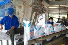 LAS: Đầu tư dây chuyển sản xuất mới trị giá 258 tỷ đồng