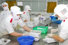 Doanh nghiệp thủy sản đang đối mặt với muôn vàn khó khăn. Ảnh: Ngọc Kỳ