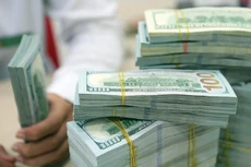 Tỷ giá ổn định không hoàn toàn do Ngân hàng Nhà nước gặp may. Ảnh: Đức Thanh