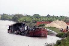 Các tàu khai thác cát trái phép.