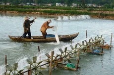 Khớp giá hy hữu trong lựa chọn nhà thầu