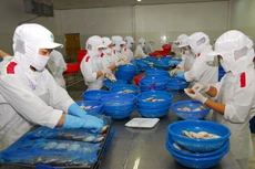 Các FTA sẽ tạo lập sân chơi bình đẳng cho các doanh nghiệp tư nhân. Ảnh: Lê Tiên