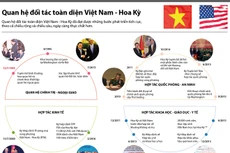 Quan hệ đối tác toàn diện Việt Nam - Hoa Kỳ