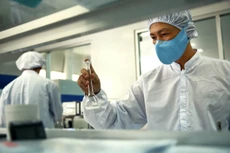 EU có yêu cầu cao về thực thi bảo hộ quyền sở hữu trí tuệ. Ảnh: LTT