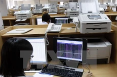 Ảnh minh họa. (Nguồn: TTXVN) 