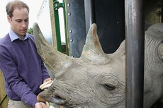 Hoàng tử Anh William sắp đến Việt Nam