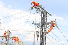 EVNNPC phấn đấu giảm tổn thất điện năng