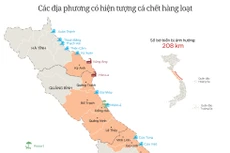 Cá chết lan rộng ở miền Trung thế nào