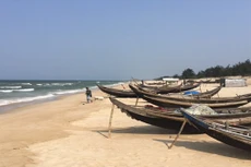Ảnh Internet