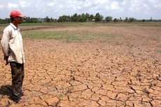 Nhật Bản hỗ trợ 2,5 triệu USD ứng phó với biến đổi khí hậu