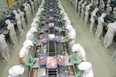 VHC: Xuất khẩu tháng 7 giảm tốc vì thủ tục kiểm nghiệm