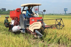 Lần đầu tiên sau nhiều năm, tăng trưởng khu vực nông nghiệp bị suy giảm