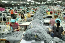 Ảnh minh họa. (Nguồn: TTXVN)