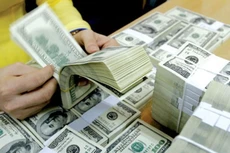 Ngân hàng Nhà nước dự tính bắt đầu siết chặt tín dụng ngoại tệ từ cuối năm 2012. Tuy nhiên, trước thực tế khó khăn của doanh nghiệp và đây là dòng vốn có lãi suất thấp, nhà điều hành lần lượt nới thêm trong các năm 2013, 2014 và 2015.