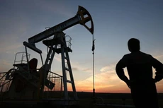 Nhiều chuyên gia phân tích cảnh báo trong ngày thứ Năm tuần tới nếu cử tri Anh vẫn cương quyết với quyết định bỏ phiếu rời khỏi EU, giá dầu sẽ giảm trở lại - Ảnh: Bloomberg.