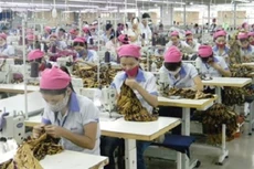 Chính phủ hỗ trợ Vinatex 63,5 tỷ đồng đào tạo nhân lực dệt may