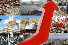 Tăng trưởng của Việt Nam có thể đạt từ 5,7 - 5,8% trong 6 tháng đầu năm 2016 và đạt mục tiêu 6,7% trong năm 2016. Ảnh Internet