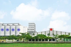 Halico từng kỳ vọng phát triển mạnh sau những năm hoàng kim đầu thập kỷ.