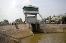 Ảnh minh họa. Nguồn Internet