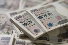 Đông Yên tăng giá làm nhiều doanh nghiệp Việt thêm nặng gánh vì lỗ tỷ giá. Ảnh: Tiên Giang st