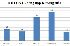 Ngày 12/1: Có 13 thông báo không hợp lệ