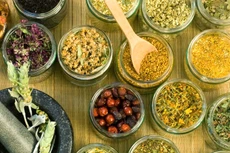 Một trong những nội dung cần xem xét, làm rõ là cam kết của nhà thầu Hòa Phú về cung cấp dược liệu đảm bảo chất lượng. Ảnh: Minh họa