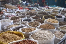 Mỗi năm, ngành dược sử dụng khoảng 60.000 tấn dược liệu các loại, trong đó dược liệu trong nước chỉ đáp ứng được 15-20%. Ảnh: Minh Tuấn