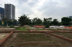 Hà Nội đấu giá 21 thửa đất tại quận Bắc Từ Liêm