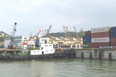 Cảng Đà Nẵng chuẩn bị gia nhập UpcoM