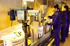 QBS quyết nâng sở hữu tại DDV lên 20%