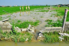 Sau vụ đổ cột điện tại Dự án Đường dây 500kV Quảng Ninh - Hiệp Hòa, PCC1 lại bị tố rút ruột công trình. Ảnh: Nguyễn Hiệp