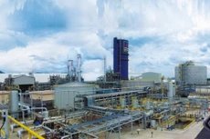 Đạm Phú Mỹ bất ngờ thay “tướng“