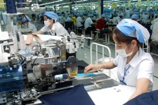 TP.HCM: Năm 2016 cổ phần hóa 10 DN 100% vốn nhà nước