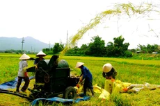 Ảnh minh họa: Internet