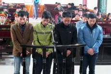 Từ trái qua là bị cáo Tuấn, Đức, Lee và Wook đều kháng cáo