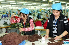 EVFTA sẽ mở ra thị trường xuất khẩu lớn cho hàng hóa Việt Nam. Ảnh: Lê Tiên