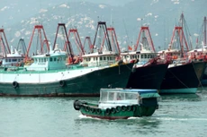Đội tàu cá cỡ lớn của ngư dân Trung Quốc ở đảo Hải Nam. Ảnh: SCMP