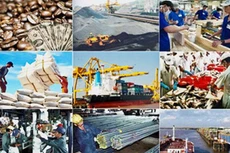 Việt Nam tranh thủ các nguồn lực để hội nhập thành công vào nền kinh tế thế giới