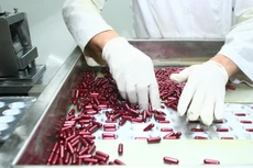 Một gói thầu thuốc có thể có hàng trăm nhà thầu tham gia, hàng chục nhà thầu trúng thầu. Ảnh: Lê Tiên