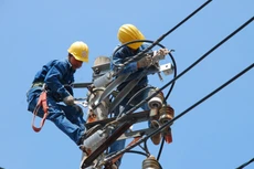 Tổng công ty Điện lực TP.HCM TNHH công bố kết quả lựa chọn nhà thầu