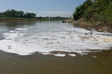 Luật Đầu tư đã có quy định rất rõ về việc xử lý doanh nghiệp vi phạm pháp luật về môi trường