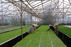 Ảnh minh hoạ. Nguồn: Internet