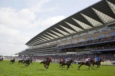 Đua ngựa và các dịch vụ liên quan là một ngành kinh doanh giải trí mang lại lợi nhuận cao ở nhiều nước.