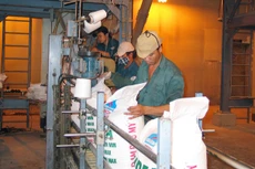 Đạm Phú Mỹ đã phân phối hết 11,4 triệu cổ phiếu ESOP giá 10.000 đồng