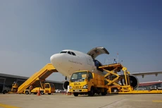 Năm 2016, NCTS vẫn chi cổ tức với tỷ lệ trên 100%