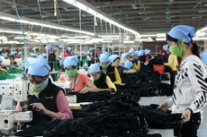 Tỷ lệ nội địa hóa của dệt may Việt Nam còn rất thấp, chỉ mới tự đáp ứng được khoảng 2% nhu cầu bông, 12,5% nhu cầu vải. Ảnh: Tất Tiên