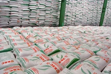 Lượng đường đấu giá (Mã HS 1701) nhập khẩu theo hạn ngạch thuế quan năm 2016 là 85.000 tấn.