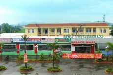 Dabaco ước đạt 253 tỷ đồng LNST, vượt 16% kế hoạch năm