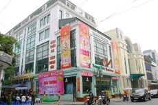 “Mồi lửa” để Savina bốc cháy trên sàn chứng khoán có lẽ không phải là sách mà chính là bất động sản